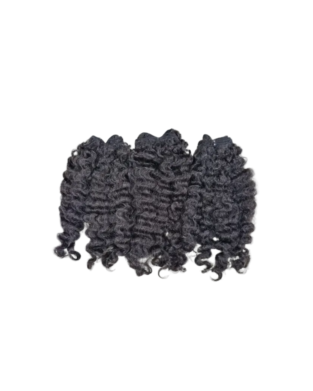 Burmese Curly