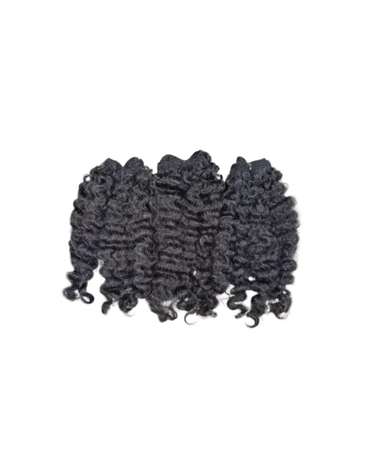 Burmese Curly